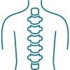 spine spine